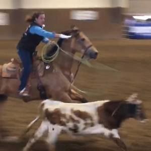 Meet your Posher, Shaun